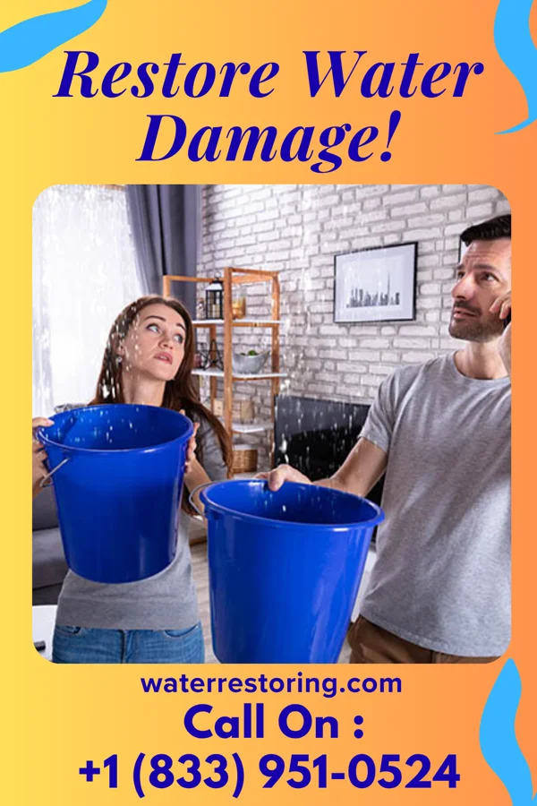 water restoration Horizon Recovery Services Millvale