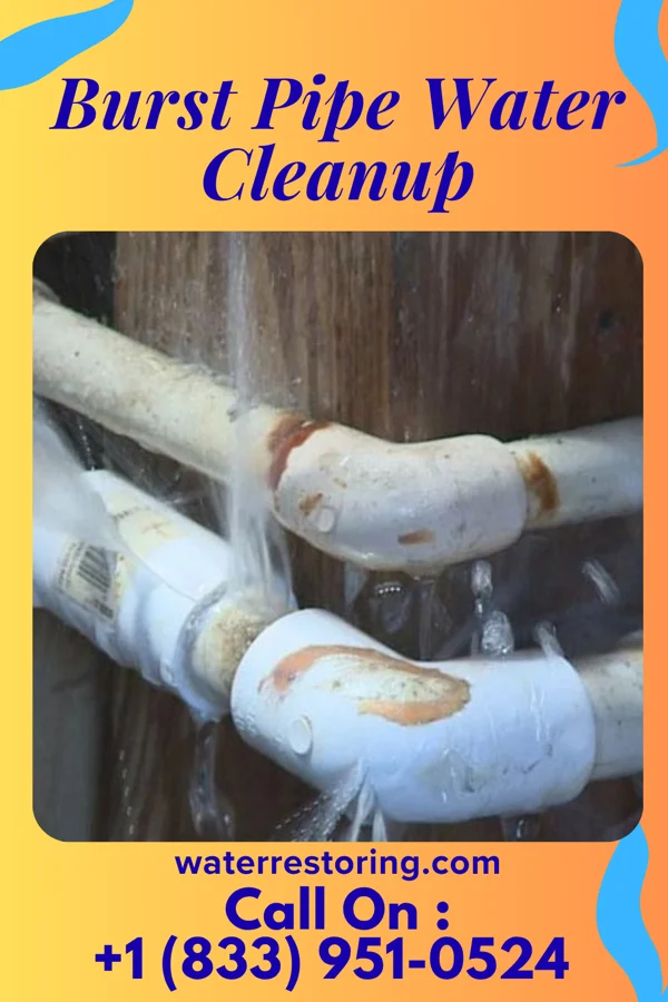 Burst Pipe Water Cleanup in Millvale, PA