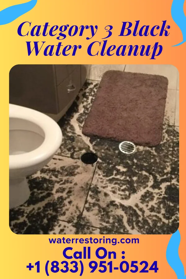 Category 3 Black Water Cleanup in Millvale, PA