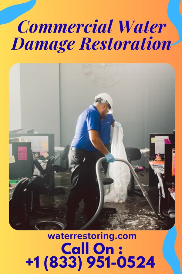 Commercial Water Damage Restoration in Millvale, PA