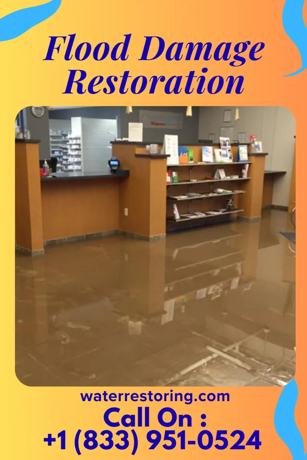Flood Damage Restoration in Millvale, PA