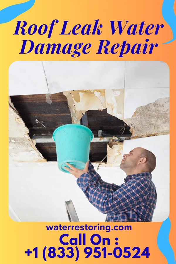 Roof Leak Water Damage Repair in Millvale, PA