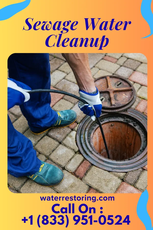 Sewage Water Cleanup in Millvale, PA